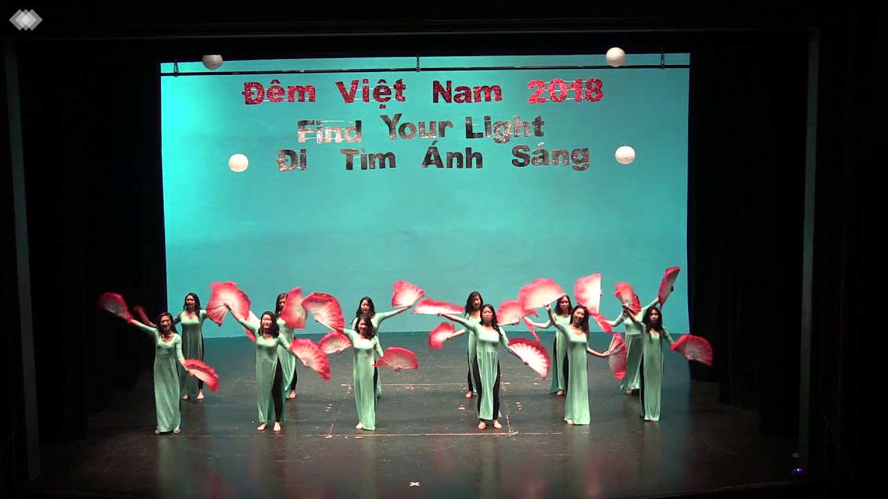 Dem Viet Nam 2018 Fan