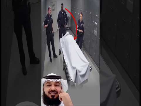 وقف الجميع مذهولين قطة تقترب من الكفن وحركة خفيفة تشق الهدوء اكسبلور لايك اقتباسات 