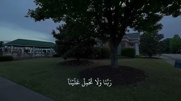 تدبروا الايات ✨🤍#قران   #quran #قران_كريم #تلاوة_خاشعة #اكتب_شي_توجر_عليه
