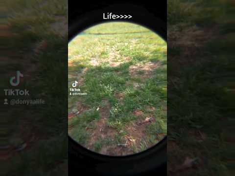 Life Donya Explore Dance Vlog Makeup