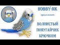 Волнистый попугайчик крючком - авторский видео МК