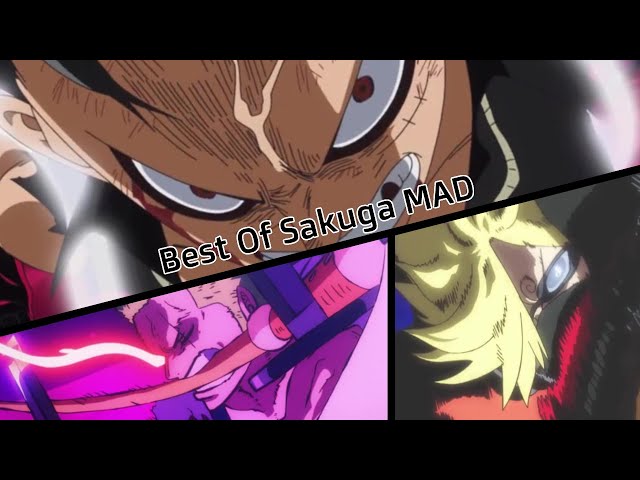 Sakuga Showcase: Best of One Piece AMV/MAD class=