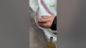 Xếp hình nghệ thuật tập 9 | ChiTV #nguudiecphi #chitv #xephinh