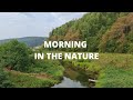 Green stroll around the valley | Morning in nature | Bashkortostan, Russia - 4k UHD
