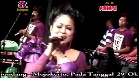 Haruskah Berakhir   Lilin Herlina   New Pallapa Live In Ponggok Gondang   YouTube