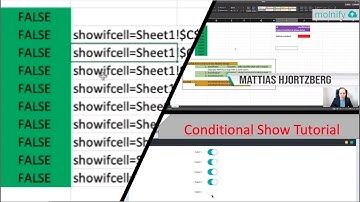 How to hide inputs with conditional show | Molnify