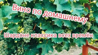 Вино по домашнему,при больших объемах,маленькая механизация процесса.