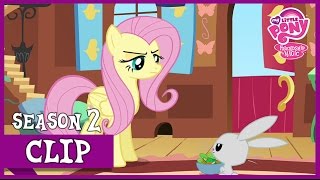 Dealing With Angel putting Your Hoof Down  Mlp Fim hd