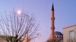 Menzi̇l Gavs