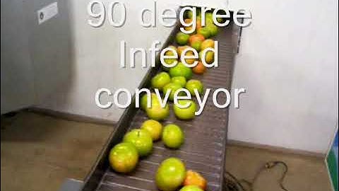 Tomato grading system