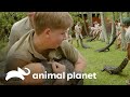 Transporte de cinco crocodilos | A Família Irwin: Robert ao resgate | Animal Planet Brasil