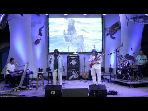 Milton Nascimento & Dudu Lima Trio - Tamarear mp3 baixar Milton Nascimento & Dudu Lima Trio - Tamarear mp3 baixar