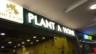 Buying ceramic pots in Kochi (മലയാളം) | Ceramic pot collection in kochi | Indoor plants Malayalam