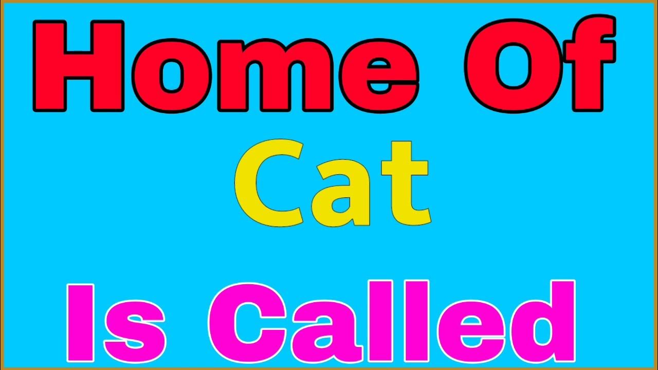 Home of cat is called cat home name cat house name youtube