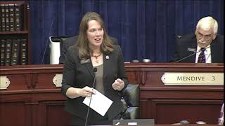 Idaho Representative Priscilla Giddings - Idaho House Ethics Committee Report - 2021