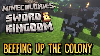 Minecolonies: Sword & Kingdom - Beefing Up!