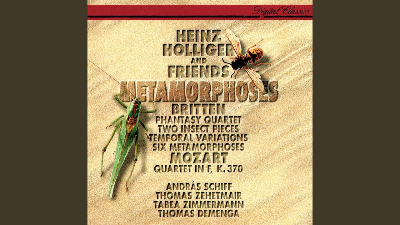 Sleduj Mozart: Oboe Quartet in F major, K. 370 - 1. Allegro na YouTube