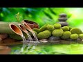 Relaxing Music 24/7, Sleep Music, Stress Relief Music, Spa, Meditation, Yoga, Zen, Calming Music