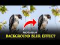 Photoshop Gaussian Blur Tutorial | Create Smooth Background Blur Effect (Beginner Friendly)
