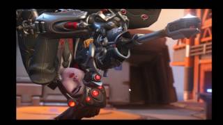 Widow Potg #2