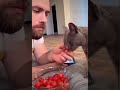 Useful cats | Полезные навыки домашних котиков.