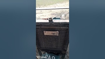 electrical #generator #avr #shortsfeed #shortvideo #trending 💥