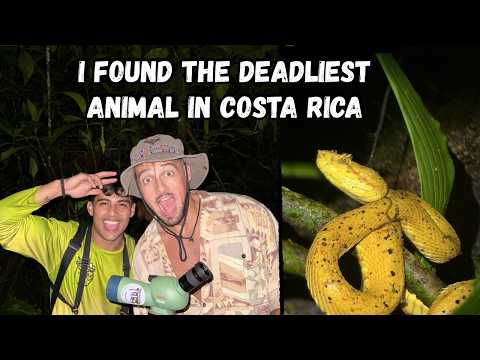 Exploring Costa Rica's Dangerous Jungles