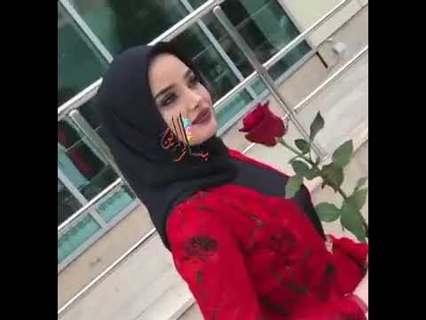 حالات واتس اب دبكه طعم شفافو توت التوت