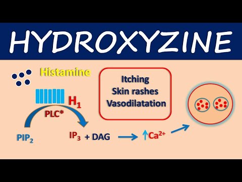 Video: Hydroxyzine For Dogs: Bruk, Dosering Og Bivirkninger