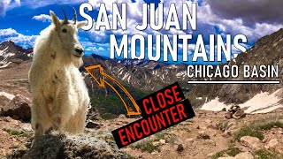 BACKPACKING TRAIN RIDE ADVENTURE | SAN JUAN MOUNTAINS | CHICAGO BASIN | DURANGO SILVERTON TRAIN