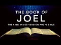 The Book of Joel KJV | Audio Bible (FULL) by Max #McLean #KJV #audiobible #audiobook