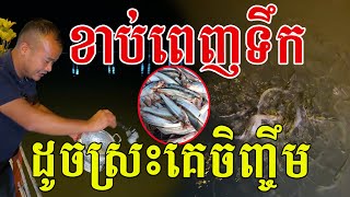 ខាប់ពេញទឹក ច្រើនសឹងមិនជឿ ដូចស្រះគេចិញ្ចឹម