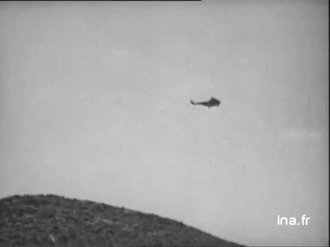 Algérie Reddition De Rebelles Chaouias Près De Tébessa Las Des Racines Au Dîner