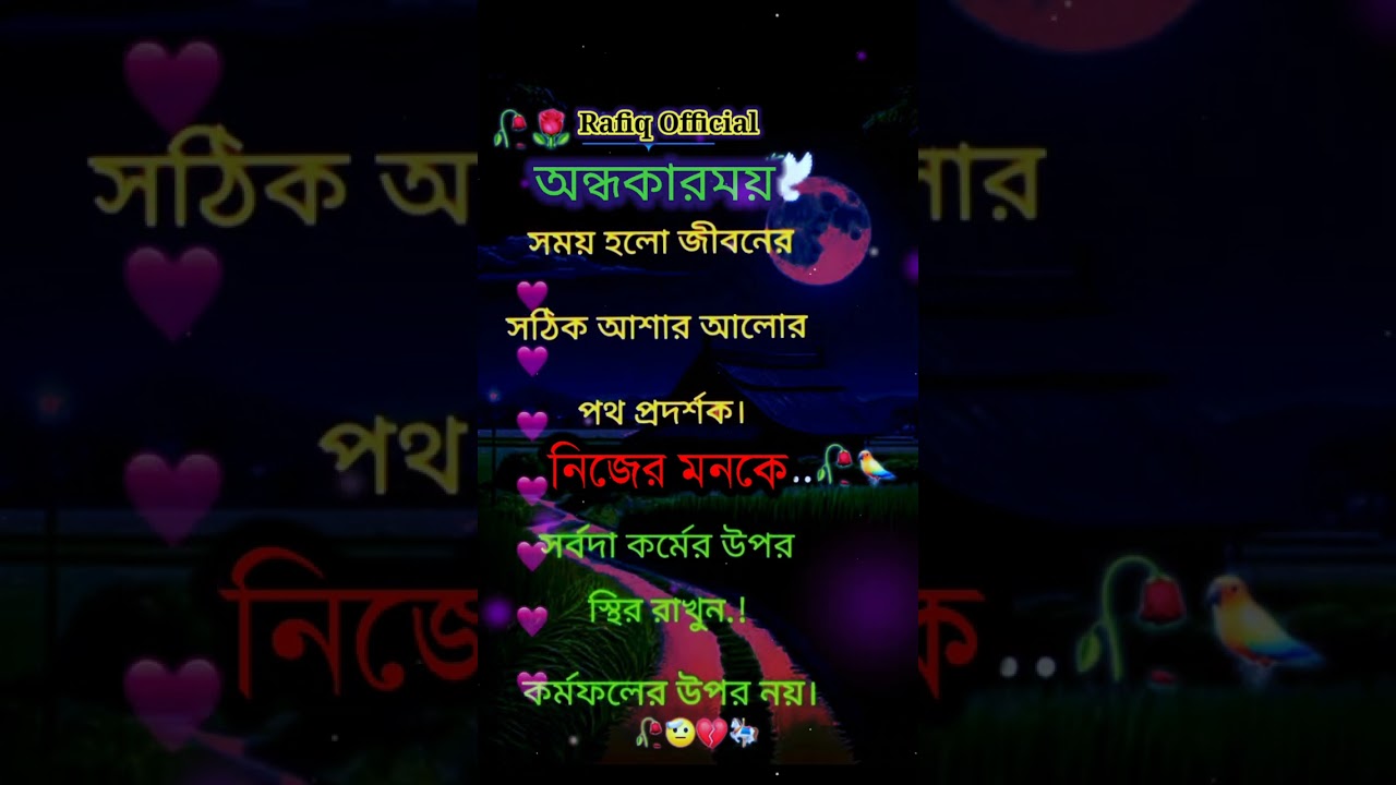 সঠিক আশার আলো🌺❤️ 