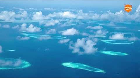 #4 | Tiếng Anh êm dịu khi ngủ - Luyện nghe tiếng Anh thụ động cho người mới học