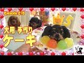 犬用ケーキの作り方 5歳の誕生日　キャバリア犬218 How to make the dog for a cake.