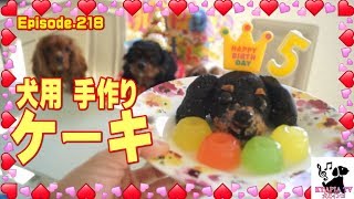 犬用ケーキの作り方 5歳の誕生日　キャバリア犬218 How to make the dog for a cake.
