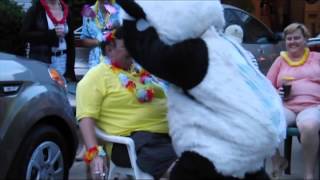 Emergency Drive By Panda Lap Dance.