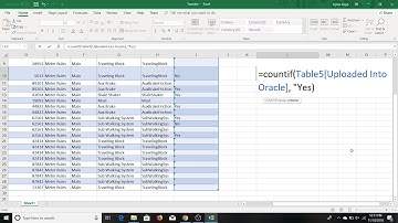 How to use COUNTIF formula for Percentage Completion Project in Excel