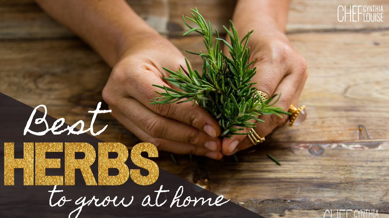 Best Herbs To Grow At Home What are the top 5 herbs to grow yourself