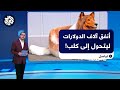 ياباني يحقق أمنيته في أن يصبح كلبا في الشارع ويدفع آلاف الدولارات مقابل ذلك 