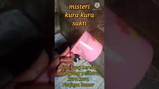 Mitos Memelihara Kura-kura yang Harus Kamu Ketahui ...