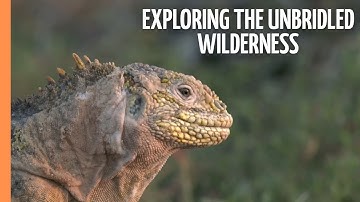 Enchanted Isles: Exploring the Unbridled Wilderness of Galapagos | Full Documentary