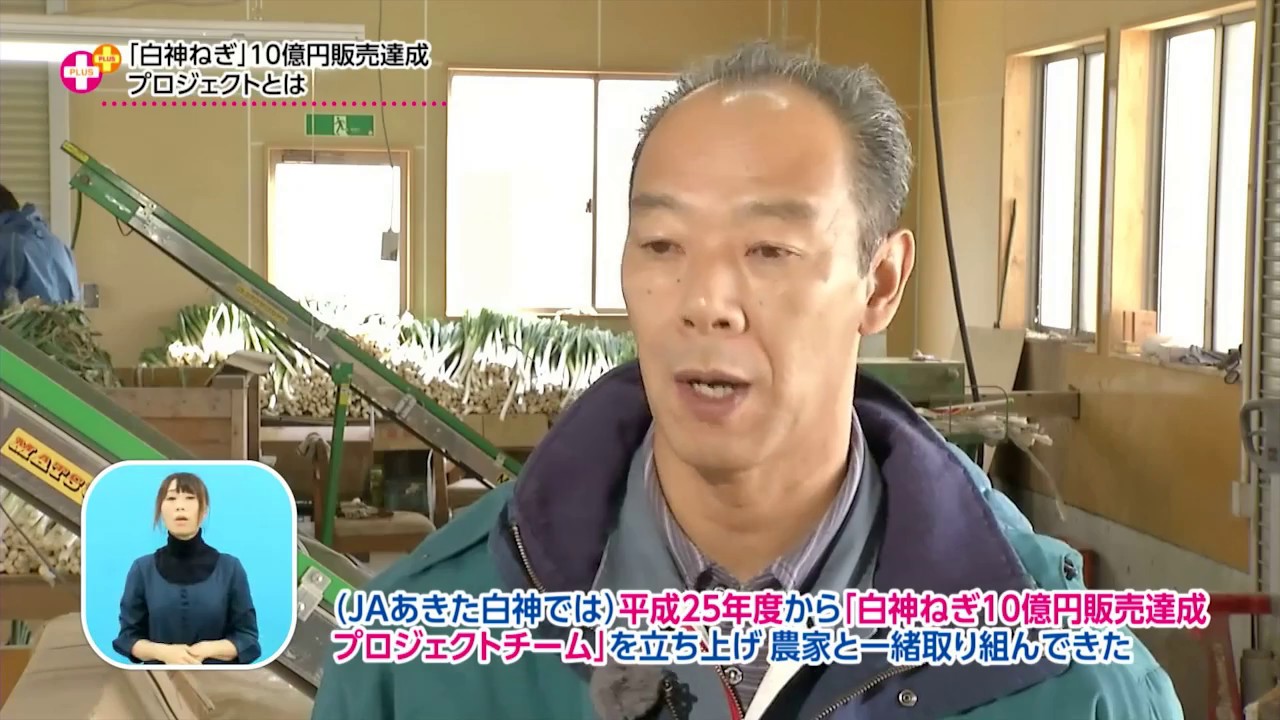 園芸メガ団地から「白神ネギ」を全国へ - YouTube
