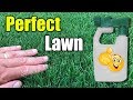 How to get thick green lush lawn quickly.