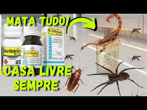 Vídeo: O inseto doméstico mais nojento: percevejos, baratas, aranhas, formigas. Métodos de controle e prevenção