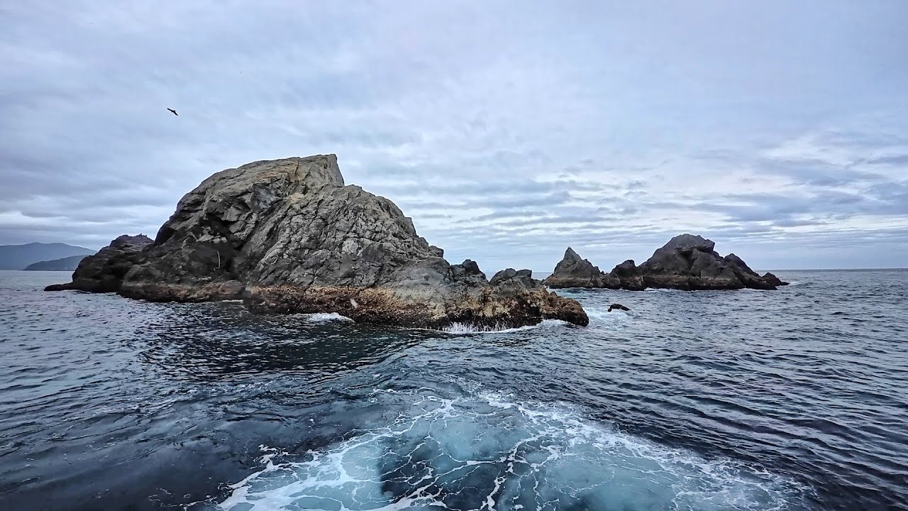 愛媛県「中泊」の沖磯でかぶせ釣りしてみたら…