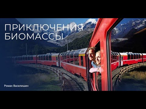 Video: Токой биомасы эмнеге окшош?