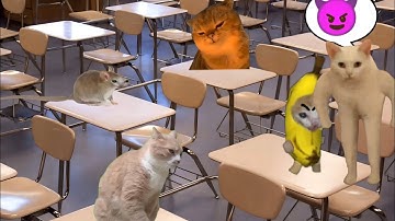 Baby Banana Cat School Videos 😺❤️ 2 Minutes Episode 76