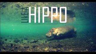 Video thumbnail of "JPATTERSSON - Like A Hippo"